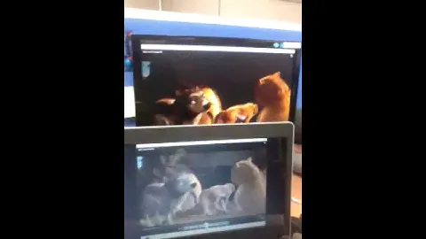LiteShow