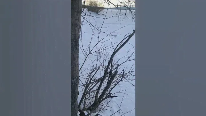 Кайф на природе